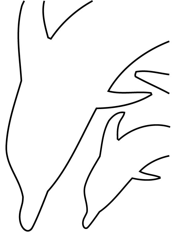 dolphincake3.jpg dolphincake3.jpg